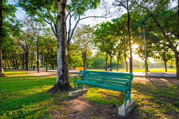 Bench in the central green park