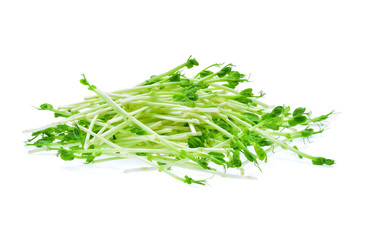 Snow pea sprouts on white background