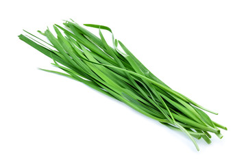 Garlic chives on white background