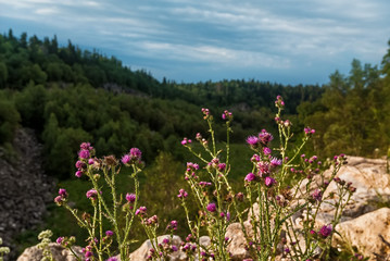 Fototapeta premium Mountain landscape in Dagestan
