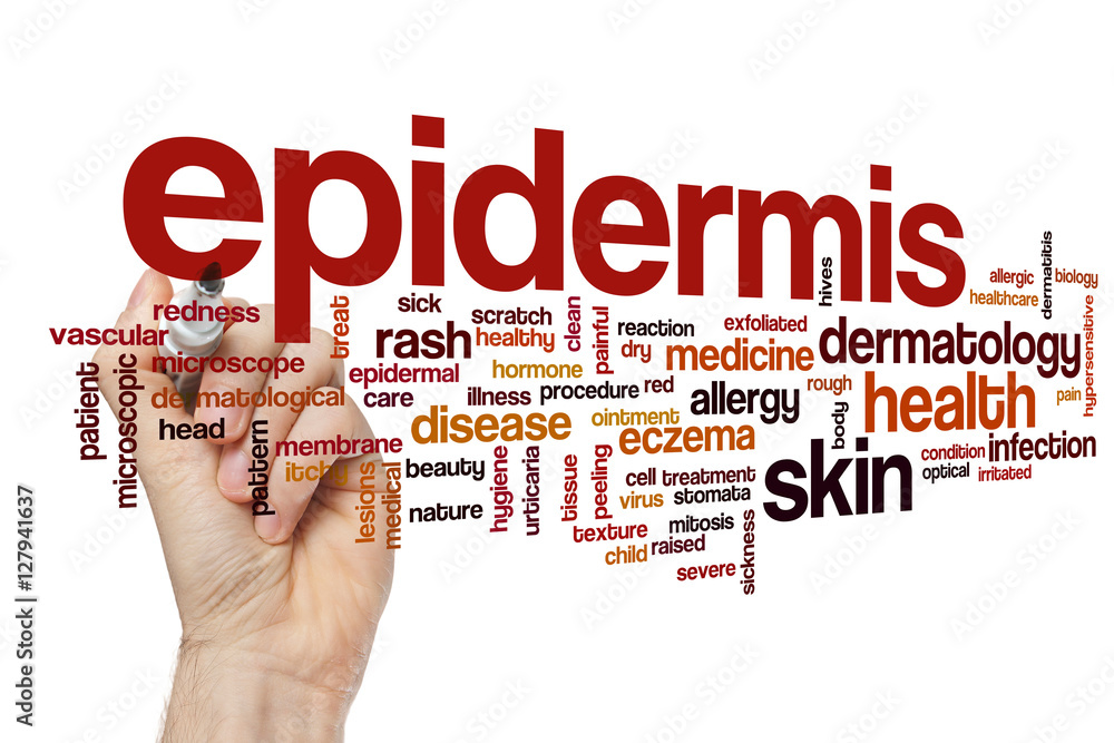 Poster epidermis word cloud