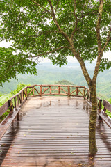 Viewpoint and tree on top mountain in Thailand