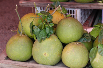  Pomelo
