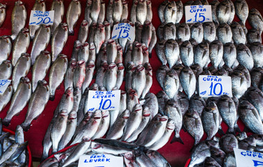 Market with fresh fish, mussels and crabs