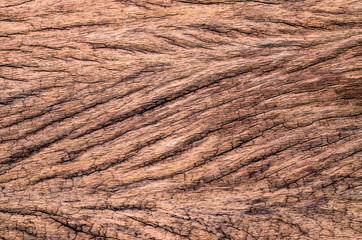 Wooden natural background