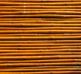 Wooden natural background