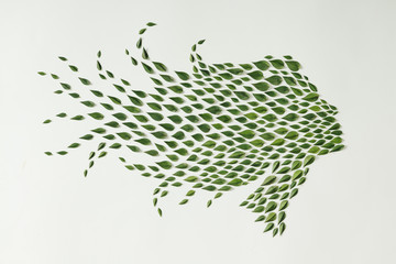 Woman silhouette made of green leaves