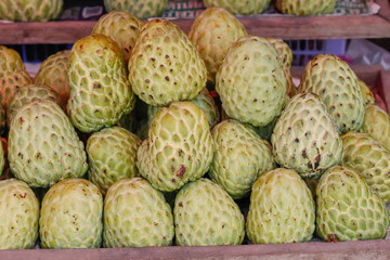 Fototapeta premium custard apple
