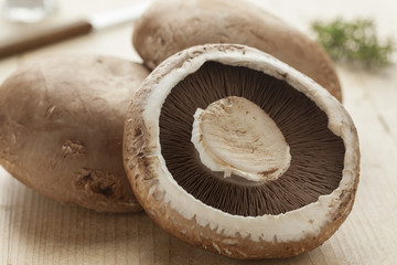 Fresh raw portobello mushrooms