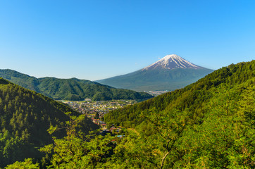 Mount Fuji in Summer