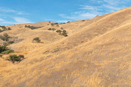 Pacheco Pass