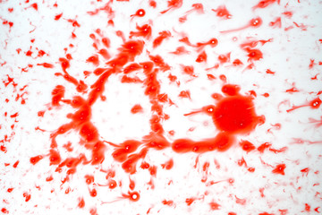 Obraz na płótnie Canvas Blood drips on white surface