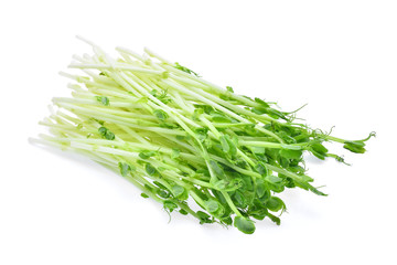 fresh snow pea sprouts isolated on white background