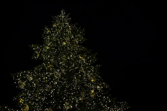 Beleuchteter Weihnachtsbaum mit goldenen Kugeln 