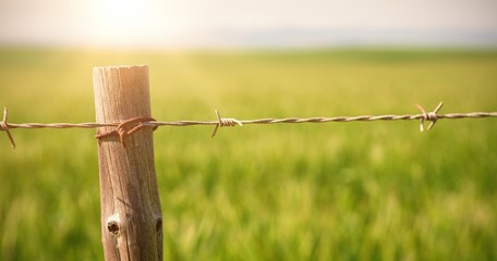 Close up of fence in field