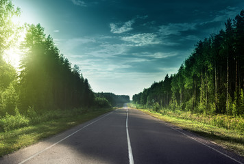 road in sunny forest