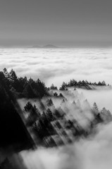 Foggy Mountain