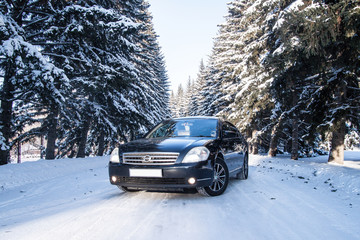 Black car on the road. Cold winter day in the forest