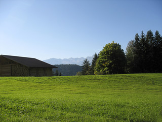 Fototapeta premium Landscape with green grass and Dolomits in South Tyrol, Italy.
