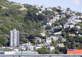 Wellington On A Hill © Ramunas