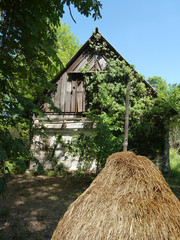 Scheune im Spreewald .1