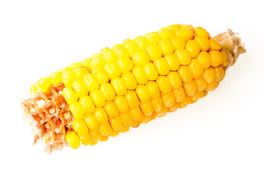 The yellow corn.