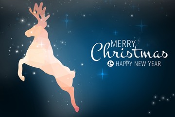 Obraz na płótnie Canvas Composite image of merry christmas message