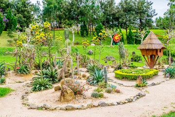 Landscape design with cactuses, sand, stones and wooden house in a park of flowers at Dalat Vietnam