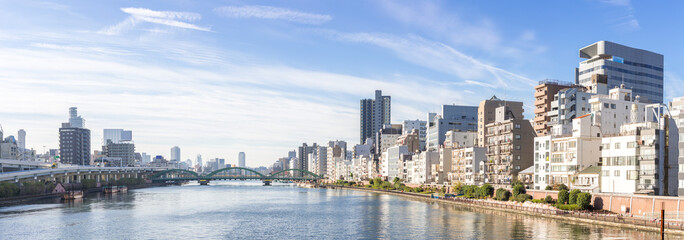 Fototapeta na wymiar Tokyo Skyline Japan