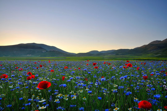 Castelluccio di Norcia