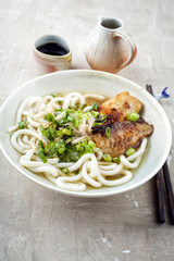 Udon Fisch Suppe in Schale
