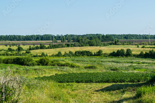 Meadow Of Russian 29