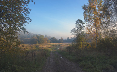Fototapeta premium Autumn landscape