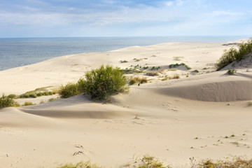 Fototapeta na wymiar Sand dunes of the russian part Curonian Spit in autumn. It is a 98 km long curved sand-dune spit that separates the Curonian Lagoon from the Baltic Sea coast. It is a UNESCO World Heritage Site.