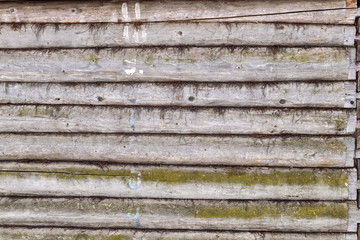 wooden log wall background