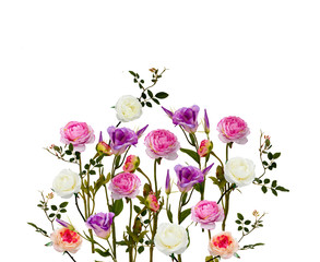 Fototapeta premium composition of white, pink roses, flowers and leaves isolated on white background. Flat lay, top view.
