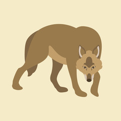 wolf vector illustration style Flat