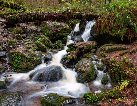 Small Waterfall in the Rain Forest