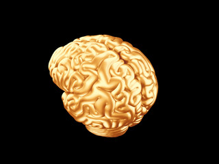 Golden brain