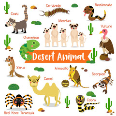 Desert Animal cartoon on white background with animal name. Camel.Cobra.Scorpion. Armadillo. Red Knee Tarantula. Chameleon. Meerkat. Vulture. Rattlesnake. Centipede. Xerus. Coati. Vector illustration.