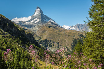 Fototapeta premium Le Cervin 