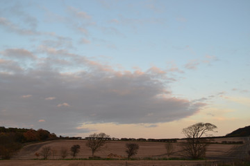 cloud and field 