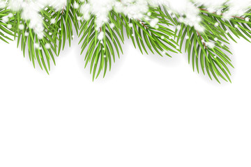 Vector seamless border with Christmas tree branches and snow. Vector decoration isolated from the background.