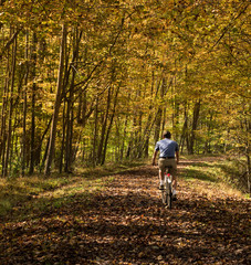 Obraz premium Senior adult man cycles on leaf covered trail