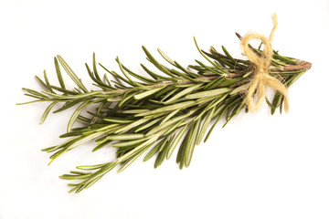 Rosemary tied in a bunch isolated on white 
