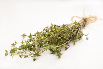 Thyme tied in a bunch isolated against white