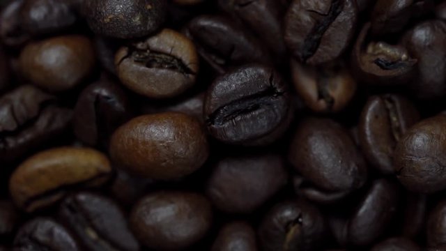 Rotating and falling Coffee beans. Slow Motion
