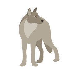 wolf vector illustration style Flat