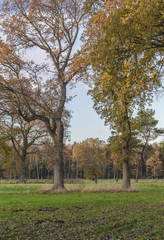 Scharmbeckstotel im Herbstkleid