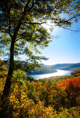 Fototapeta premium Allegheny National Forest